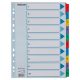 Regiszter, karton, A4, 1-10, ESSELTE Mylar (E100161)