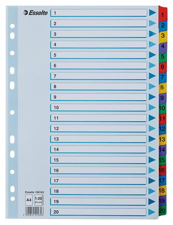 Regiszter, karton, A4, 1-20, ESSELTE Mylar (E100163)