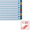 Regiszter, karton, A4, 1-20, ESSELTE Mylar (E100163)